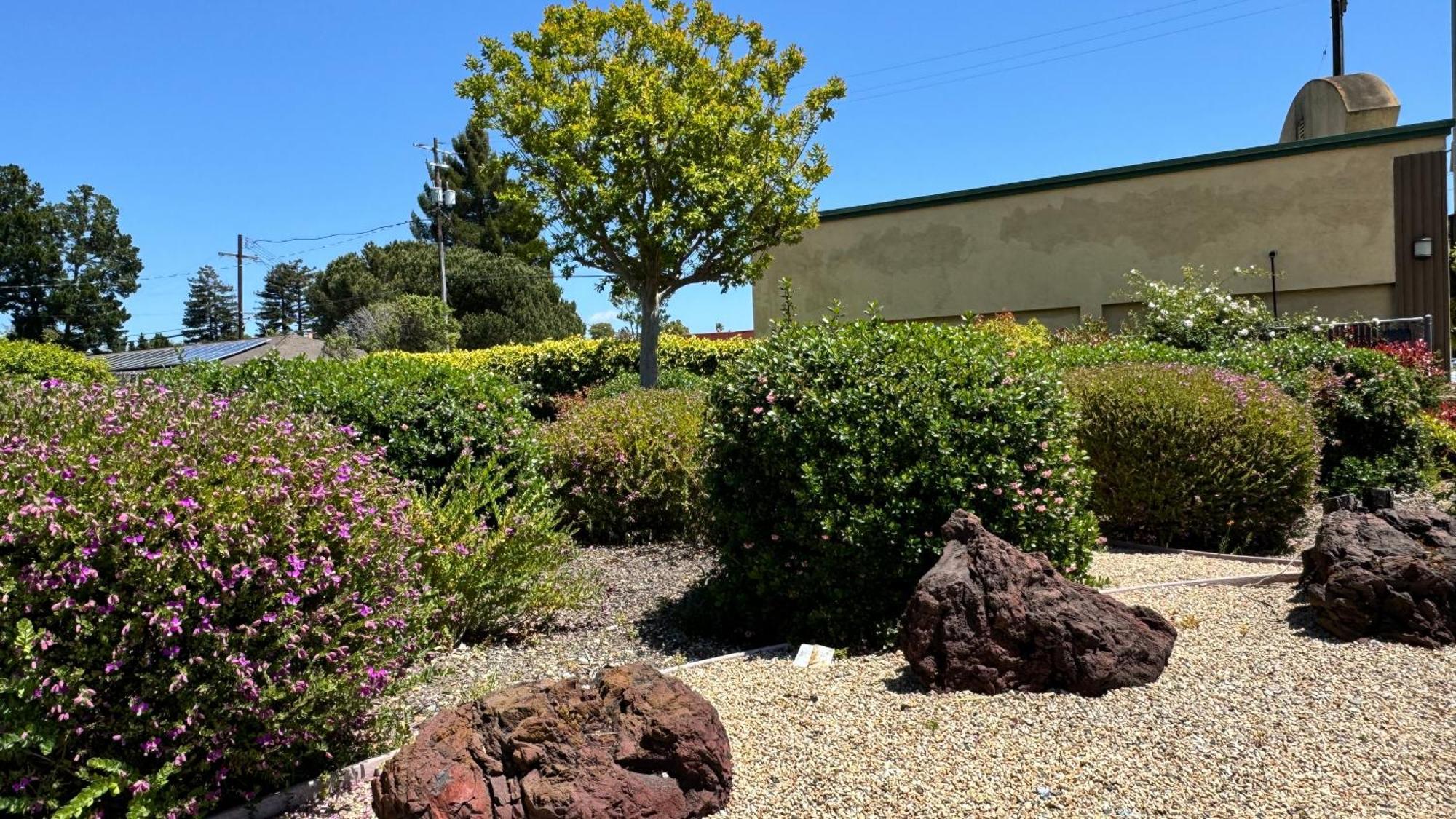 Hitching Post Studios Inn Santa Cruz Exterior foto