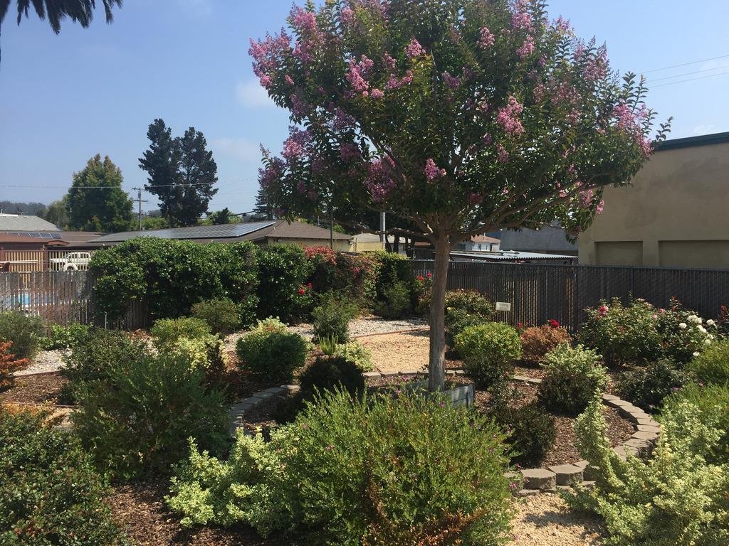 Hitching Post Studios Inn Santa Cruz Exterior foto